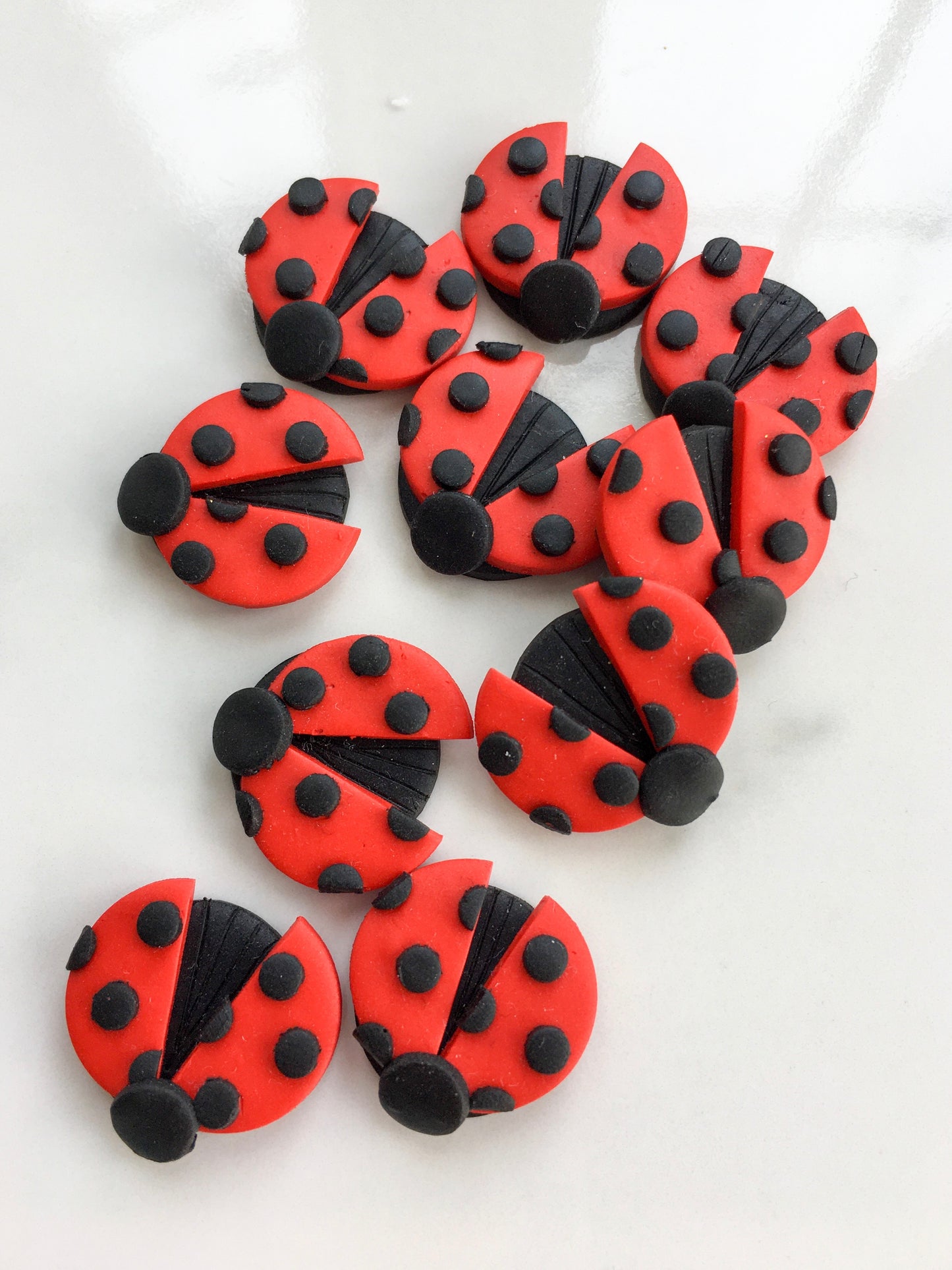 Ladybird studs